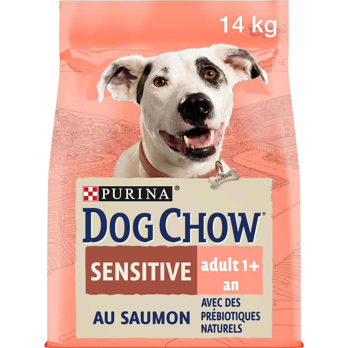 Dog Chow Sensitive Adult with Salmon