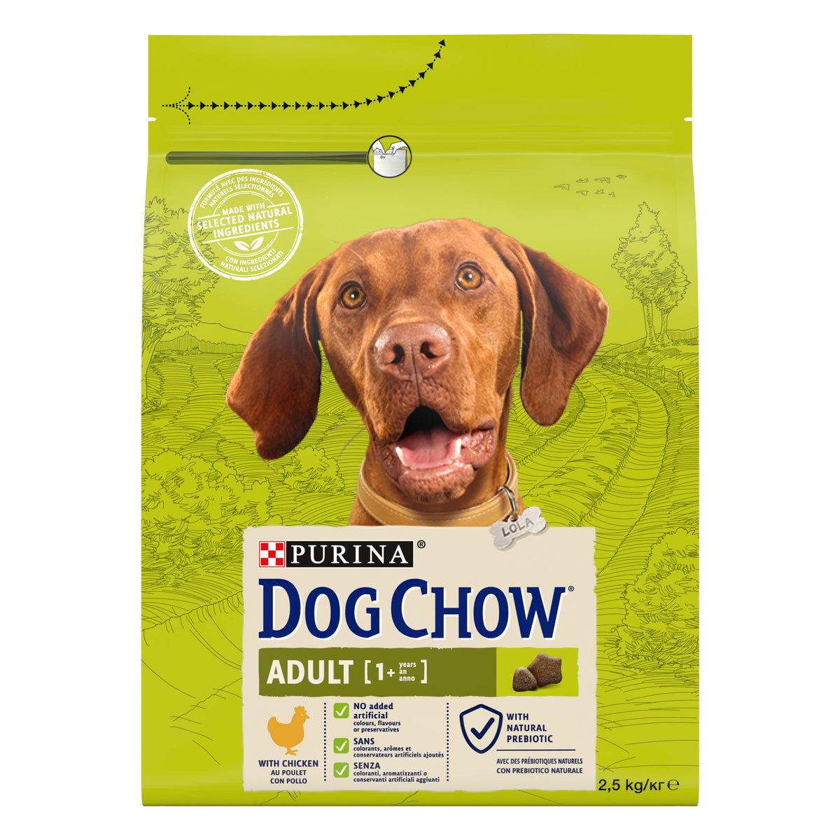 Dog Chow adult with chicken